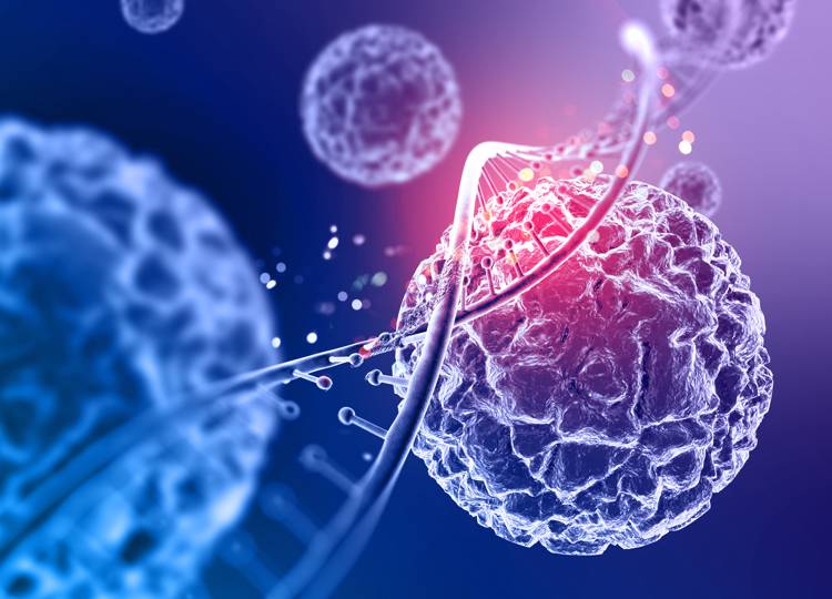 Exercícios Resolvidos de Biologia