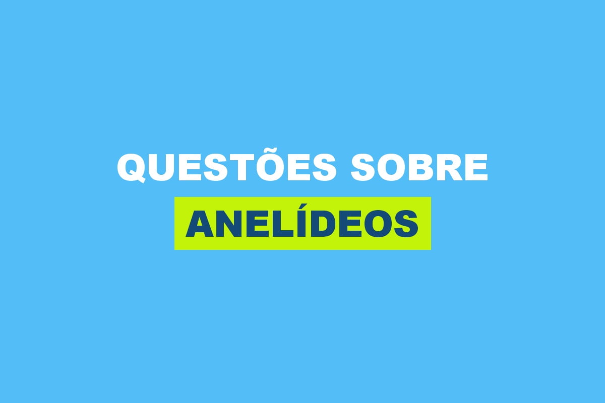 Questões sobre Anelídeos