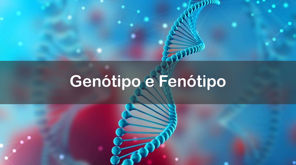Questões sobre Genótipo e Fenótipo
