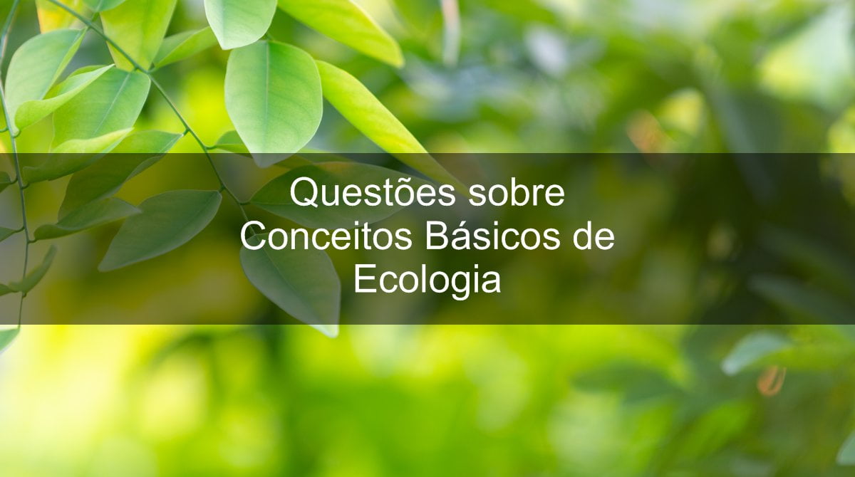 Enem: Confira 10 questões de Ecologia com resolução para você treinar