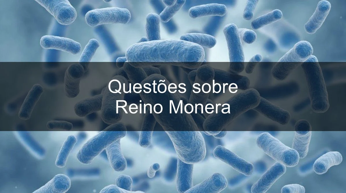 Questões sobre Reino Monera