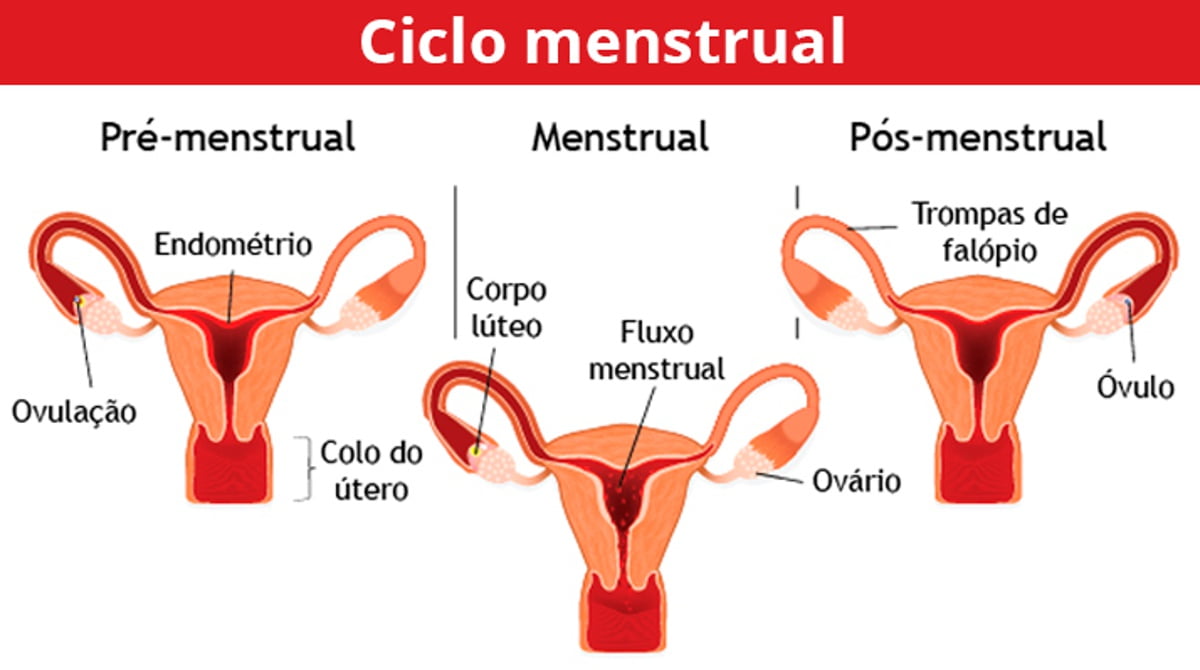 Ovulação, nidação, atraso Menstrual