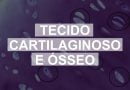 Questões comentadas sobre Tecidos Cartilaginoso e Ósseo