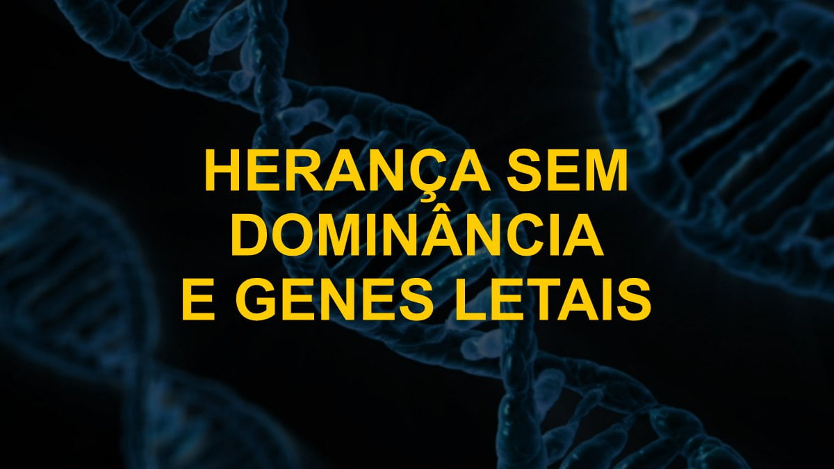 Questões comentadas sobre herança sem dominância e genes letais