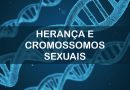 Questões sobre herança e cromossomos sexuais