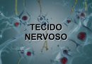 Questões Resolvidas sobre Tecido Nervoso