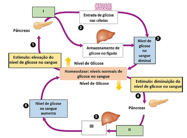 Grafico De Niveis Normais De Glicose 8 Sintomas Comuns De Glicose Alta grafico-de-niveis-normais-de-glicose-8-sintomas-comuns-de-glicose-alta