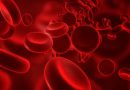 Questões resolvidas sobre tecido sanguíneo