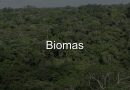 Questões resolvidas sobre biomas