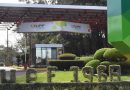 UPF oferta mais de 550 vagas no Prouni 2024