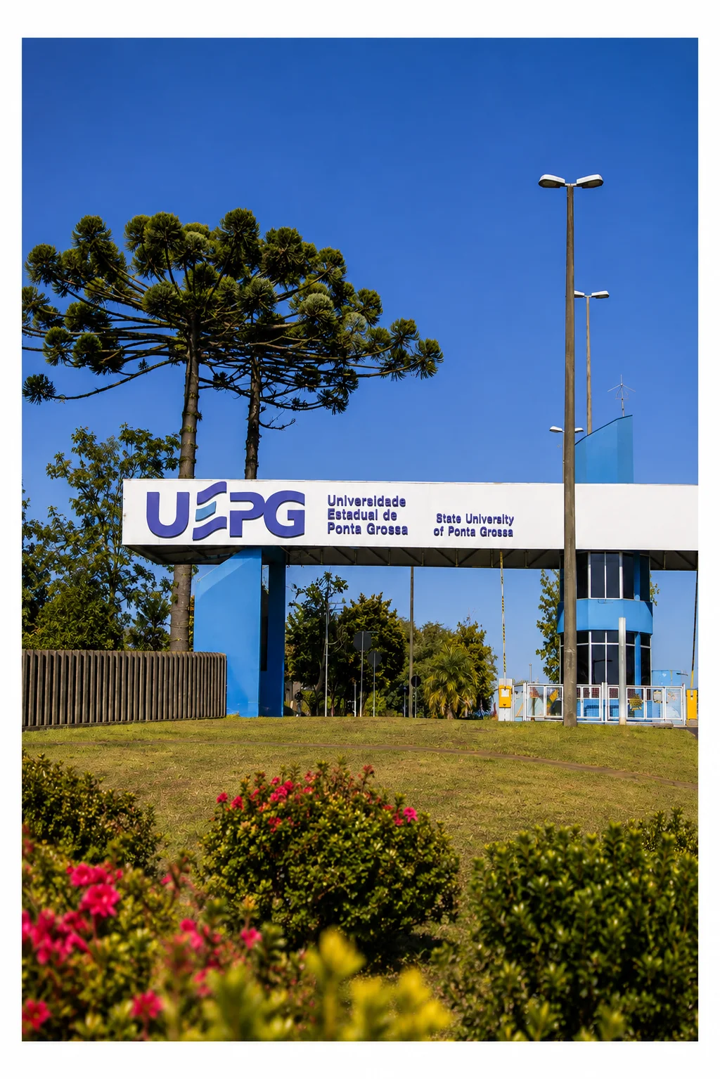 UEPG (Imagem: IA)